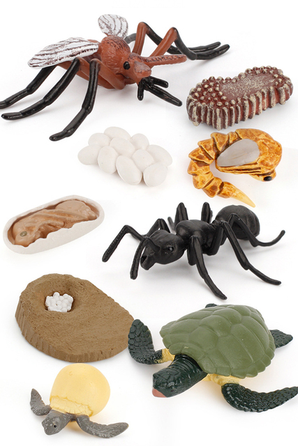 Model symulacyjny żaba, mrówka, komar, żółw morski, kurczak - zestaw cyklu wzrostu i życia zwierząt (Figurki akcji) - Wianko - 3