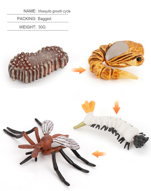 Model symulacyjny żaba, mrówka, komar, żółw morski, kurczak - zestaw cyklu wzrostu i życia zwierząt (Figurki akcji) - Wianko - 8
