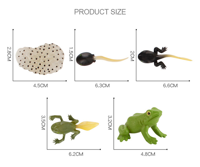 Model symulacyjny żaba, mrówka, komar, żółw morski, kurczak - zestaw cyklu wzrostu i życia zwierząt (Figurki akcji) - Wianko - 5