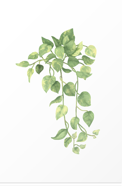 Nowoczesny plakat ozdobny z tropikalnymi roślinami dla salonu w stylu skandynawskim - Wianko - 8