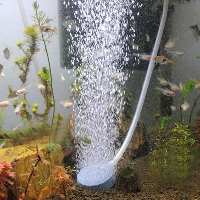 Kamień napowietrzający do akwarium 40mm - dekoracja dla stawu i oczka wodnego, pompa powietrza hydroponiczna - Wianko - 5