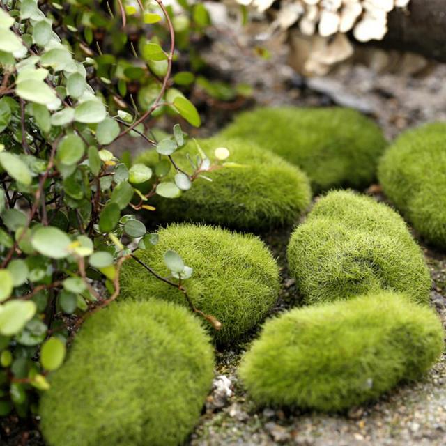 1pc Zielona roślina kamień mech - Bonsai dekoracja Miniaturka ogród Marimo - Wianko - 3