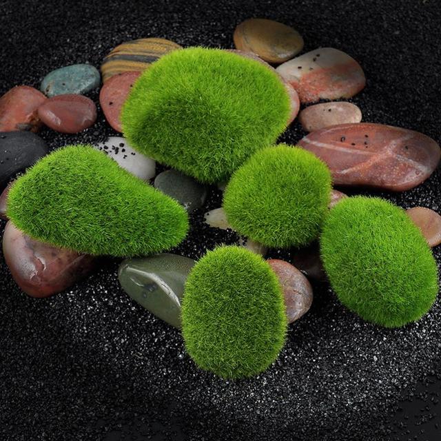 1pc Zielona roślina kamień mech - Bonsai dekoracja Miniaturka ogród Marimo - Wianko - 2