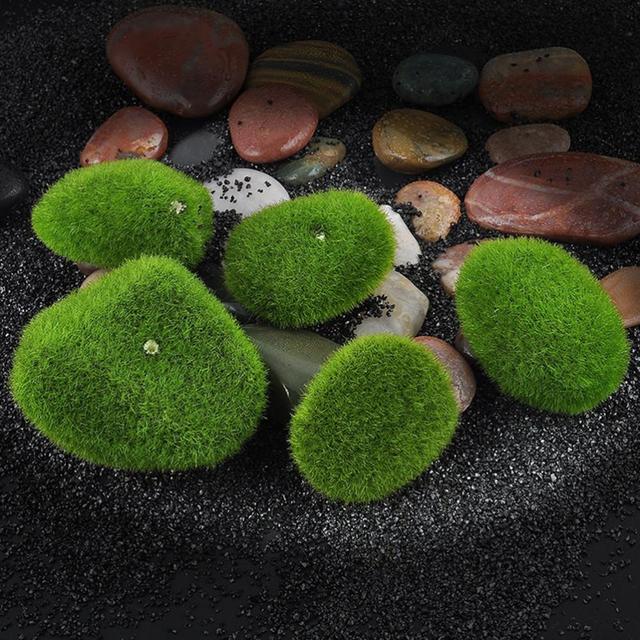 1pc Zielona roślina kamień mech - Bonsai dekoracja Miniaturka ogród Marimo - Wianko - 7