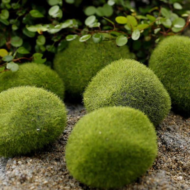 1pc Zielona roślina kamień mech - Bonsai dekoracja Miniaturka ogród Marimo - Wianko - 8