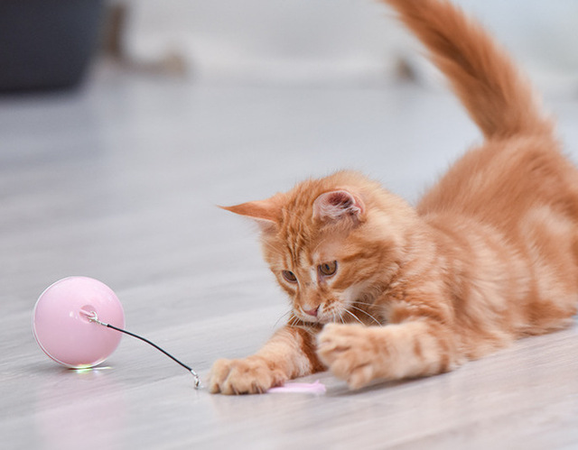 Automatycznie obracająca elektryczna piłka interaktywna dla kota z ładowaniem USB i świetlnym LED - Wianko - 5