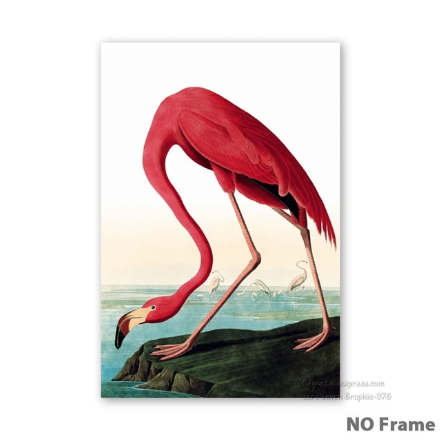 Nordyckie zwierzę ptak Flamingo – obraz drukowany na płótnie A4/A3 do salonu, sypialni. Dekoracja ścienna domu - Wianko - 13