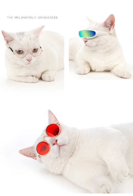 Hurtowy zestaw 50 sztuk okularów dla kotów i małych psów - zabawki dla zwierząt, rekwizyty do zdjęć - Wianko - 13