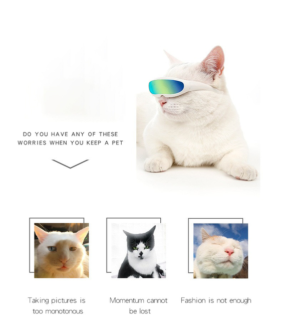Hurtowy zestaw 50 sztuk okularów dla kotów i małych psów - zabawki dla zwierząt, rekwizyty do zdjęć - Wianko - 3
