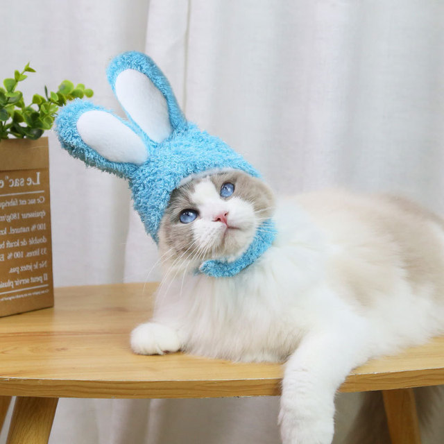 Nakrycie głowy dla małych psów - kreatywne uszy królika do kostiumu zwierząt - Wianko - 4