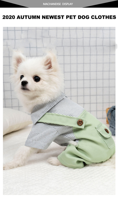 Kawaii ubrania wiosenne dla małych psów - spodnie i koszula Chihuahua - Wianko - 3