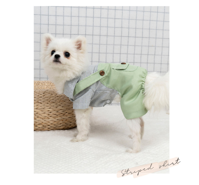 Kawaii ubrania wiosenne dla małych psów - spodnie i koszula Chihuahua - Wianko - 16