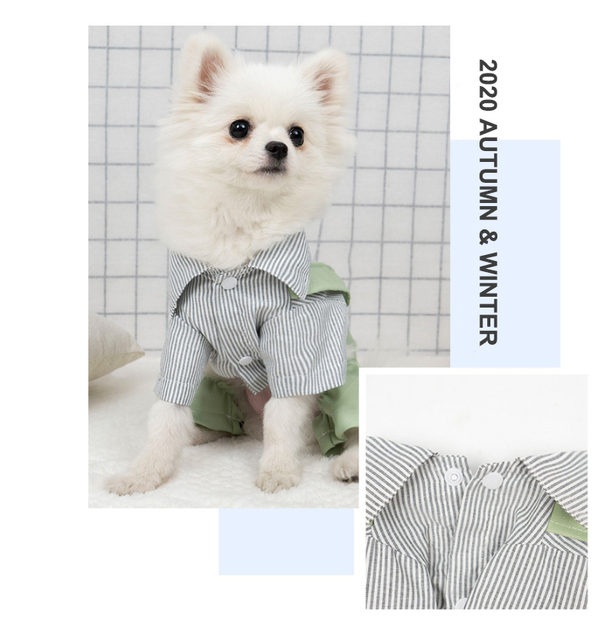 Kawaii ubrania wiosenne dla małych psów - spodnie i koszula Chihuahua - Wianko - 11