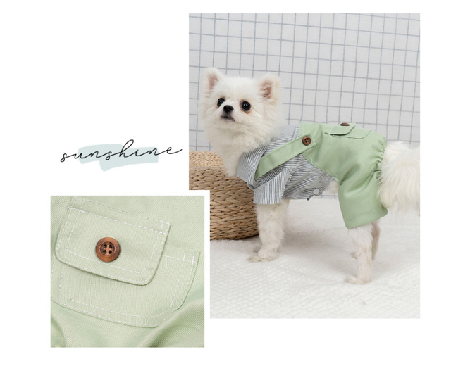 Kawaii ubrania wiosenne dla małych psów - spodnie i koszula Chihuahua - Wianko - 13