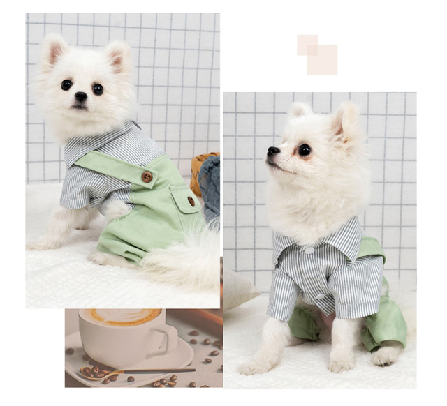Kawaii ubrania wiosenne dla małych psów - spodnie i koszula Chihuahua - Wianko - 15