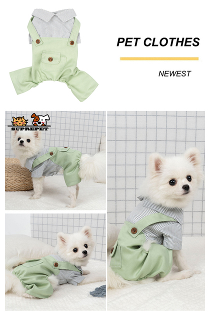 Kawaii ubrania wiosenne dla małych psów - spodnie i koszula Chihuahua - Wianko - 4