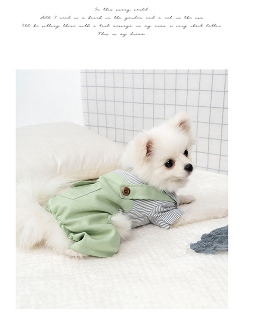 Kawaii ubrania wiosenne dla małych psów - spodnie i koszula Chihuahua - Wianko - 12