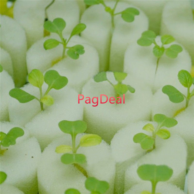 96 szt. Doniczki sadzonek warzyw hydroponicznych z gąbką - Wianko - 10