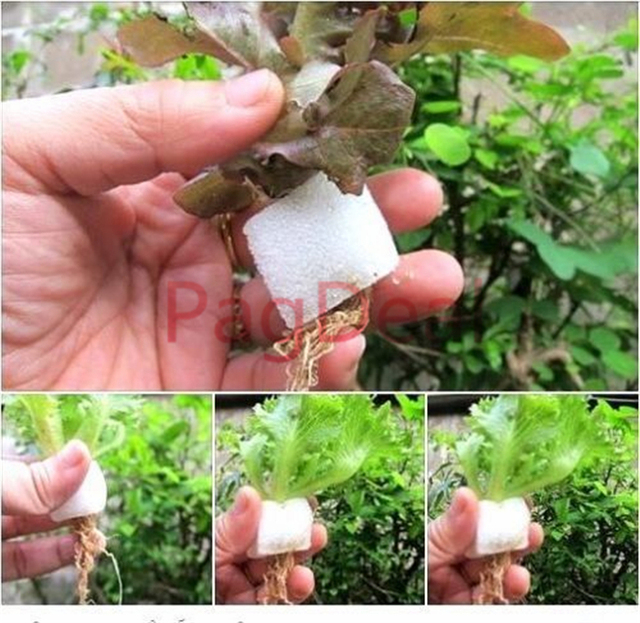 96 szt. Doniczki sadzonek warzyw hydroponicznych z gąbką - Wianko - 6