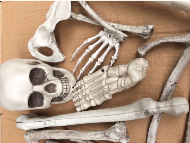 Kreatywne rekwizyty dekoracji Halloween - 28 luźnych kości szkieletów do barowego pokoju w nawiedzonym domu - Wianko - 3