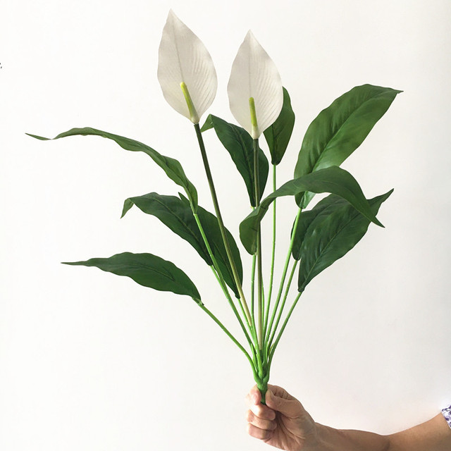 Sztuczne rośliny Anthurium: zielony kwiat, 60cm, rzadki, Magnolia liść, wieczny, do domu i hotelu, DIY dekoracja, fałszywy - Wianko - 15