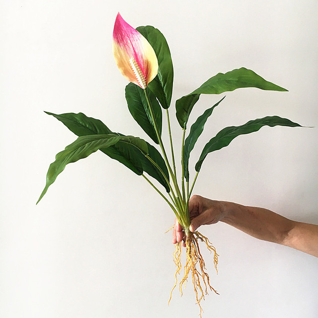 Sztuczne rośliny Anthurium: zielony kwiat, 60cm, rzadki, Magnolia liść, wieczny, do domu i hotelu, DIY dekoracja, fałszywy - Wianko - 14