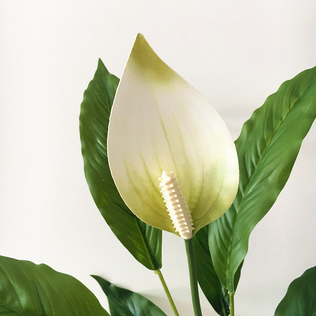 Sztuczne rośliny Anthurium: zielony kwiat, 60cm, rzadki, Magnolia liść, wieczny, do domu i hotelu, DIY dekoracja, fałszywy - Wianko - 17