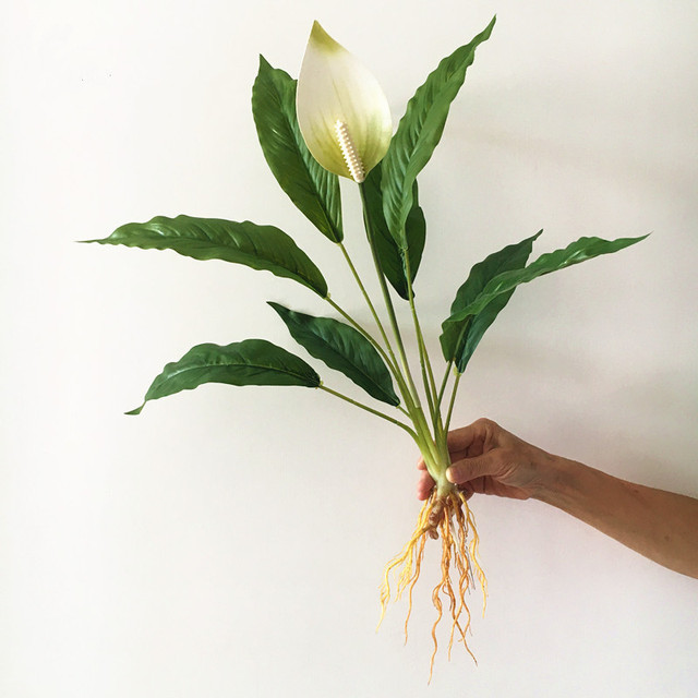 Sztuczne rośliny Anthurium: zielony kwiat, 60cm, rzadki, Magnolia liść, wieczny, do domu i hotelu, DIY dekoracja, fałszywy - Wianko - 11