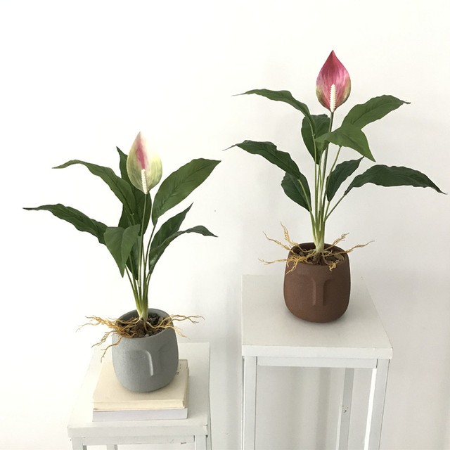 Sztuczne rośliny Anthurium: zielony kwiat, 60cm, rzadki, Magnolia liść, wieczny, do domu i hotelu, DIY dekoracja, fałszywy - Wianko - 10