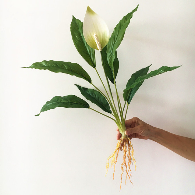Sztuczne rośliny Anthurium: zielony kwiat, 60cm, rzadki, Magnolia liść, wieczny, do domu i hotelu, DIY dekoracja, fałszywy - Wianko - 13