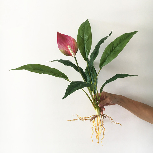 Sztuczne rośliny Anthurium: zielony kwiat, 60cm, rzadki, Magnolia liść, wieczny, do domu i hotelu, DIY dekoracja, fałszywy - Wianko - 12