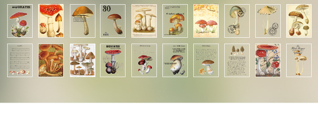 Bloczek notesowy Dimi Mini broszura - 400 arkuszy, 50% przezroczysty, kwiaty, znaczek papier - DIY Bullet Journaling INS Stationery - Wianko - 72