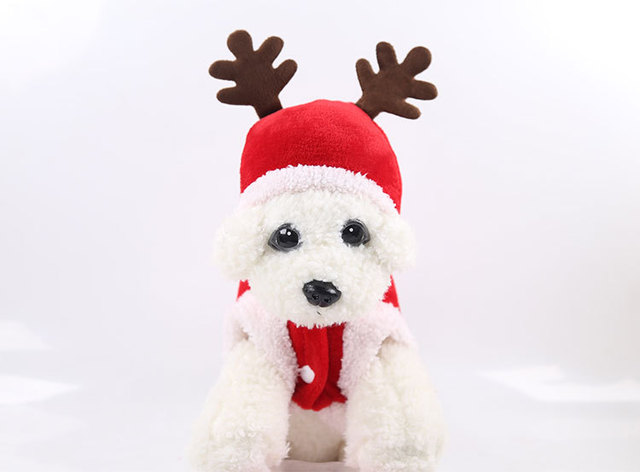 Ubranka dla psa niebieskie z kapturem polarowe miś mops - idealne na zimę i jesień! - Wianko - 7