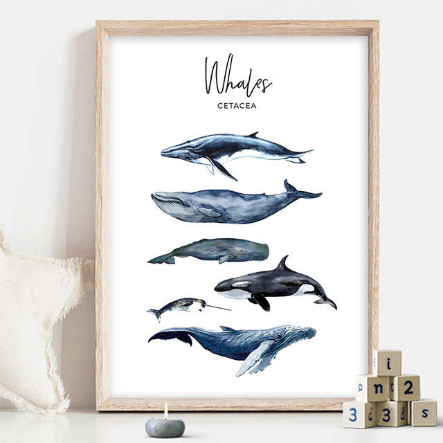 Malarstwo na płótnie: Wieloryb-rekin w morskim środowisku dla przedszkolaków, obraz ścienny zwierząt dla dzieci - Wianko - 3