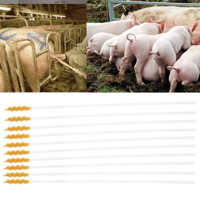 10 sztuk jednorazowych cewników do inseminacji świń i owiec - Wianko - 7