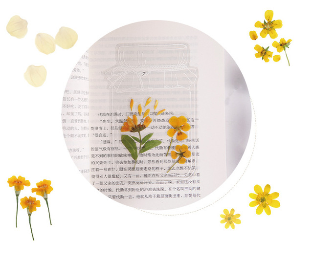 Zestaw 40 sztuk przezroczystych naklejek retro z motywem kwiatowym do scrapbookingu, planera, albumu DIY - Wianko - 13