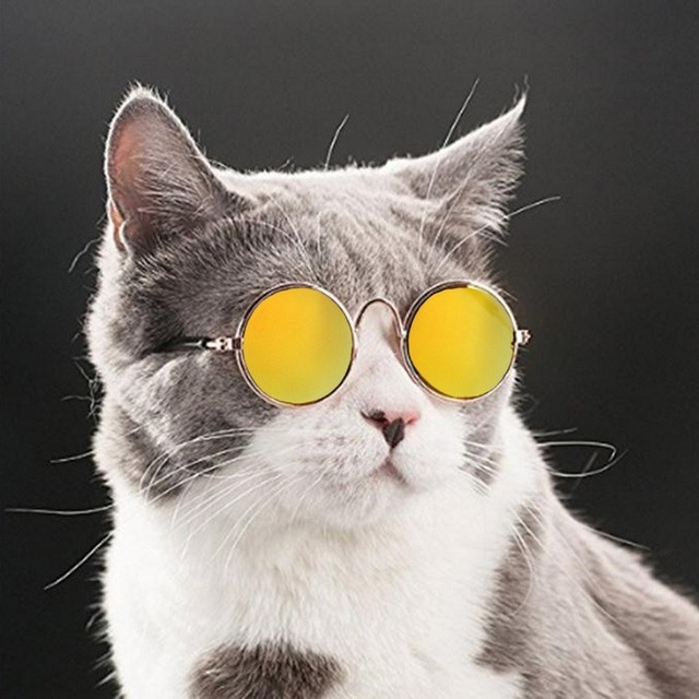 Koszulka z okrągłymi okularami dla kotów w stylu kostiumowym cosplay - Wianko - 6