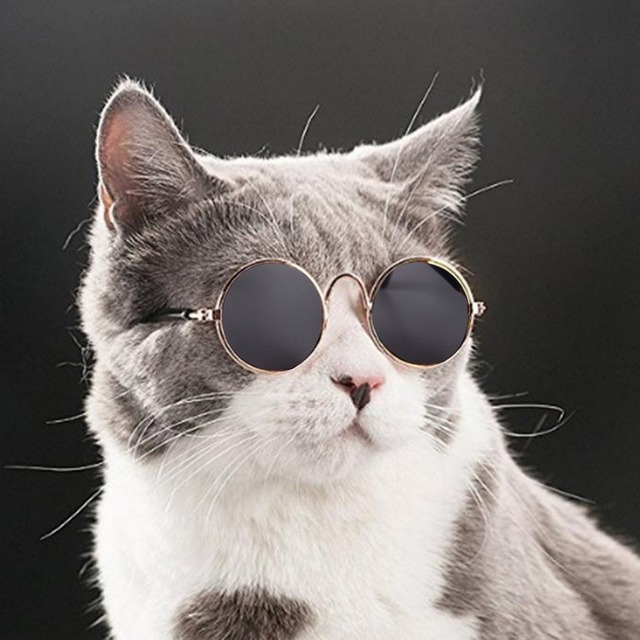 Koszulka z okrągłymi okularami dla kotów w stylu kostiumowym cosplay - Wianko - 5
