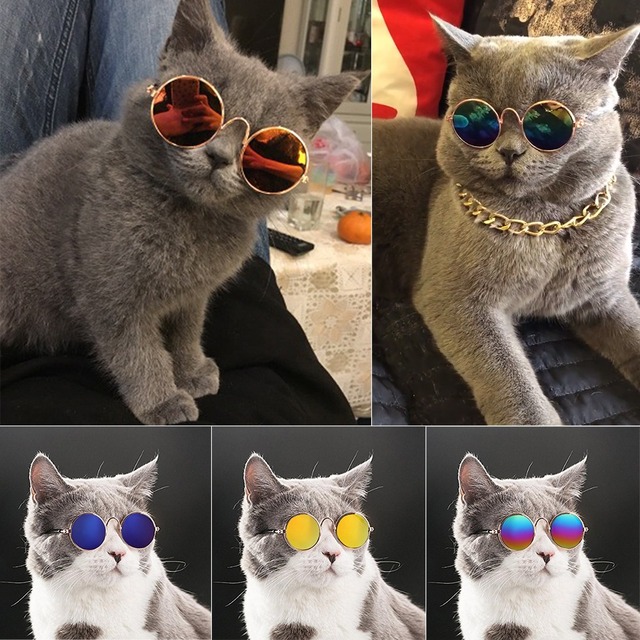 Koszulka z okrągłymi okularami dla kotów w stylu kostiumowym cosplay - Wianko - 10