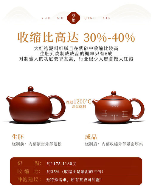 Dzbanek do herbaty ręcznie wykonany z purpurowej gliny Yixing, zestaw z czajniczkiem garncem, idealny do herbaty zielonej, Dahongpao Xishi Ball Hole Zisha Drinkware Teaware - Wianko - 7