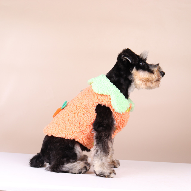 Płaszczyk zimowy dla małych i średnich psów - pluszowy SUPREPT, ciepły, śliczny, w kształcie marchewki i bakłażana - Wianko - 7