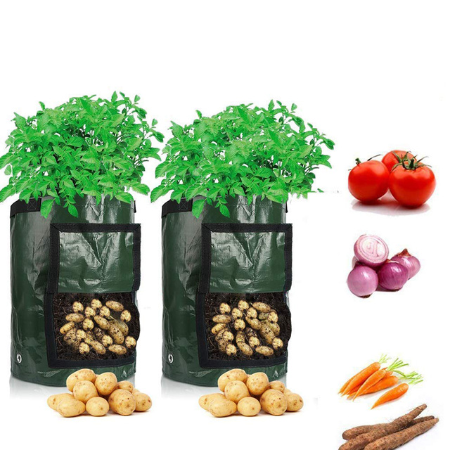 Sadzenie ziemniaków w tkane torby materiałowe doniczki ogrodowe - Wianko - 6