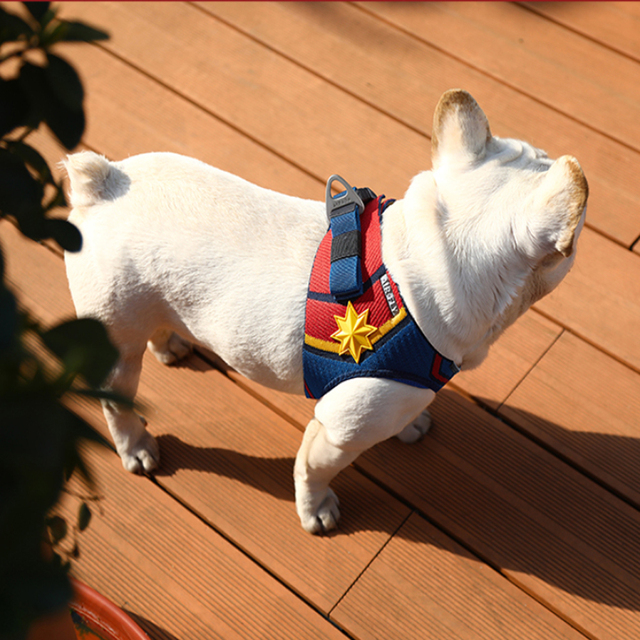 Uprząż regulowana Superhero Series dla małych i średnich psów oraz kotów - Wianko - 13