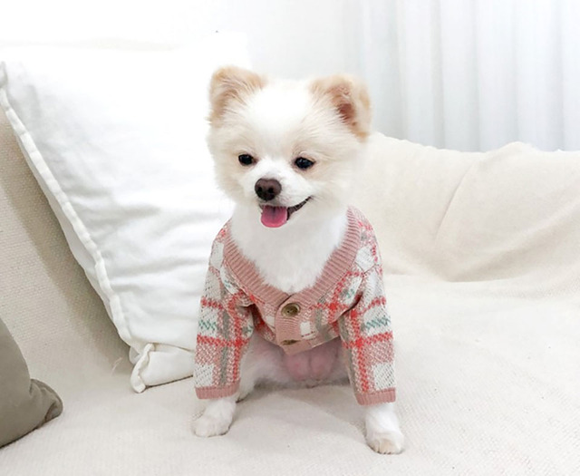 Sweter zapinany na guziki z dzianiny Bichon - jesienne i ciepłe ubrania zimowe dla szczeniąt - koszula w kratę - dwunożne ubrania dla psów - rozmiary XS-XL - Wianko - 7