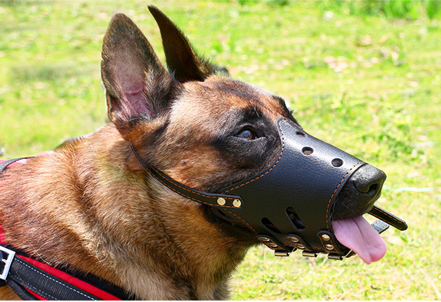 Kołnierz kagańca regulowany dla małych i dużych psów - PU skóra, maska anti-bite i anti-barking - Wianko - 6