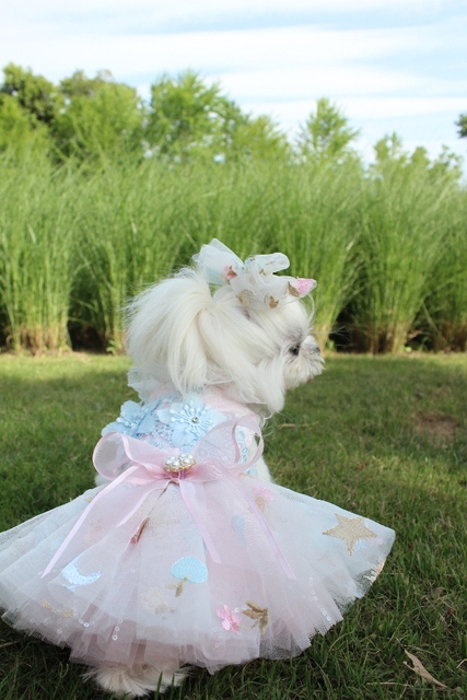 Luksusowa koronkowa sukienka ślubna dla psów z haftem Tutu, letnia spódnica na imprezę Chihuahua, ubrania rozmiary XS-XL - Wianko - 9
