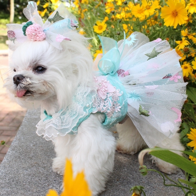 Luksusowa koronkowa sukienka ślubna dla psów z haftem Tutu, letnia spódnica na imprezę Chihuahua, ubrania rozmiary XS-XL - Wianko - 1