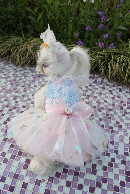 Luksusowa koronkowa sukienka ślubna dla psów z haftem Tutu, letnia spódnica na imprezę Chihuahua, ubrania rozmiary XS-XL - Wianko - 10