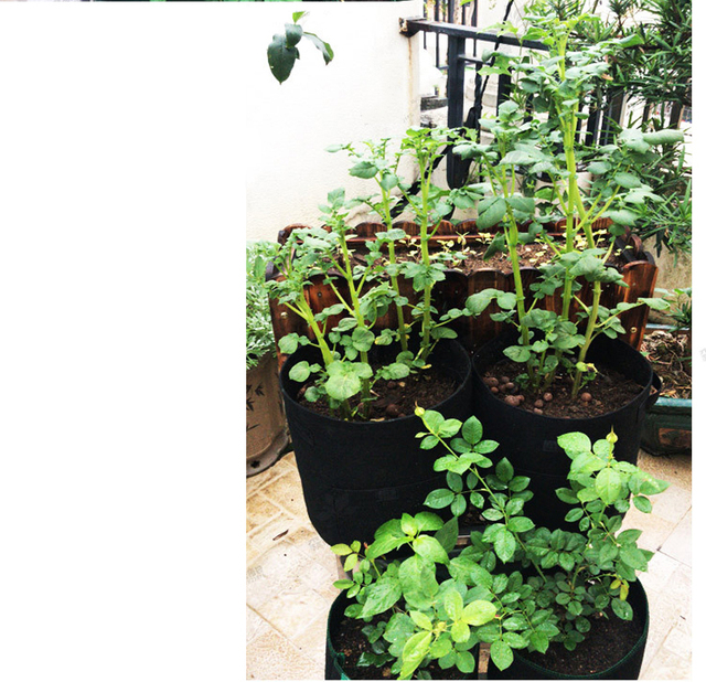 DIY sadzarka do ziemniaków - torba sadzenia warzyw ogrodnicza pomme de terre ze wzmacnianym dnem - Wianko - 18