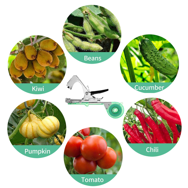 Wiązarka roślin Tapener - narzędzie do trwałej i wygodnej uprawy roślin z kwiatem owocowym - Wianko - 3